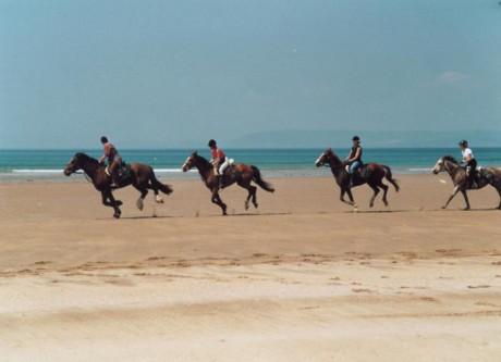 horses_beach
