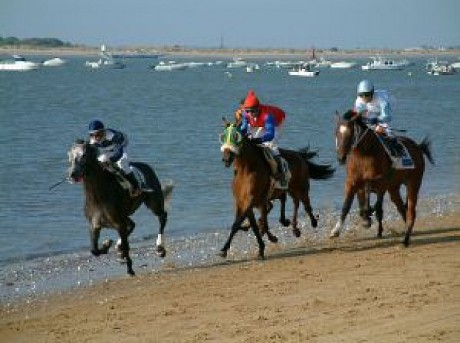 horses-racing-in-the-beach_2567619